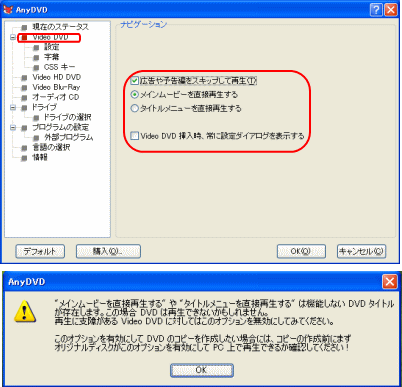 Anydvd 設定方法 Video Dvd項目
